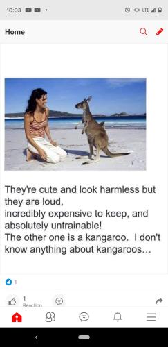 12:16:23 GMT-0400 (EDT)