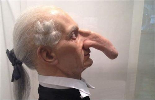 penis nose