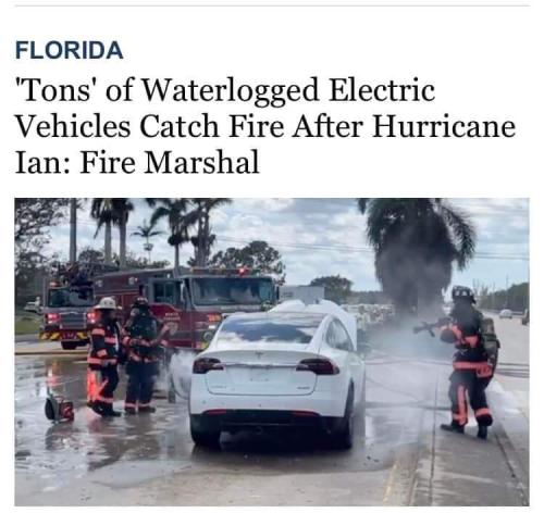 FB_IMG_1665173663869