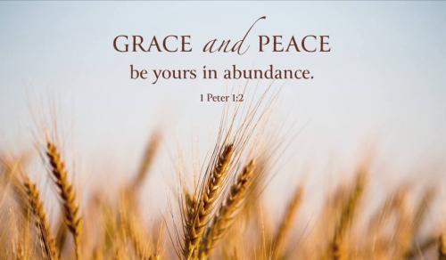 photo_2022-10-23_07-39-08