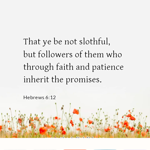 dailybible_20221012-012954_Hebrews_6-12