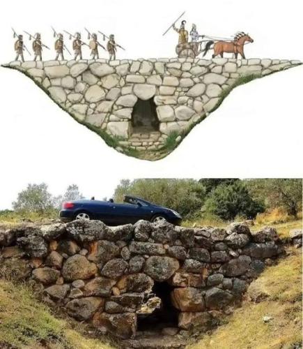 311241814_421175850175181_1252396999069110903_n