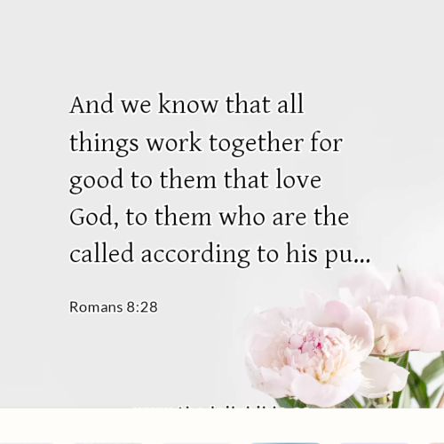 dailybible_20221031-182205_Romans_8-28