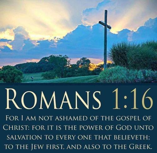 FB_IMG_1665492635239