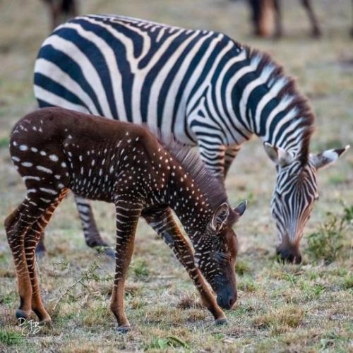 tumblr_b58f20575a6e61d42532803854937040_9c77ada9_540