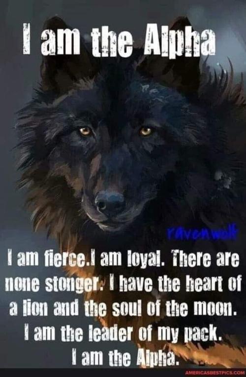 FB_IMG_1666113122834