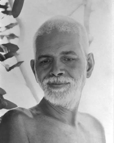 ,                                                                                                                                                                                                                          0 z