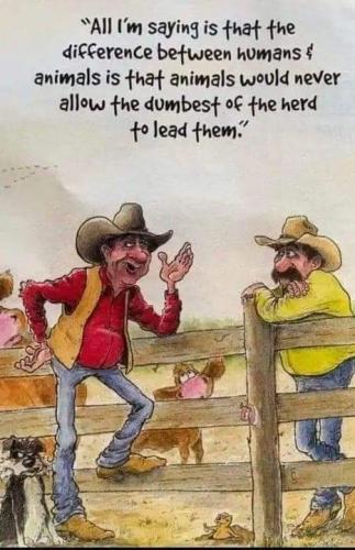 received_1487519921721464