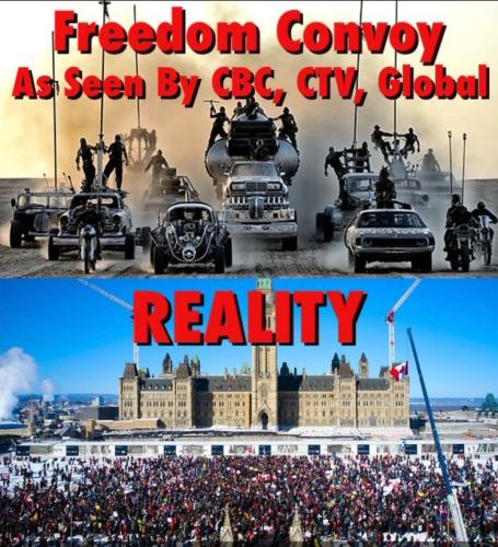 MSM vs Reality