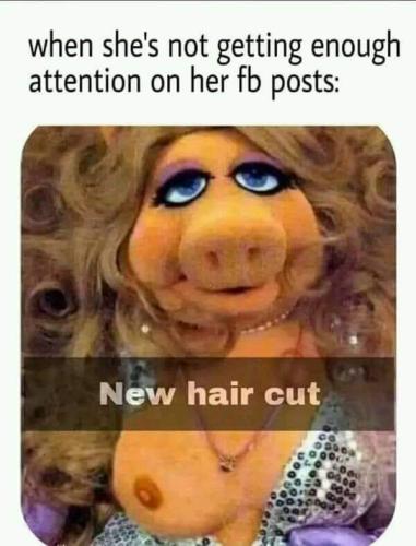 FB_IMG_1664981720393