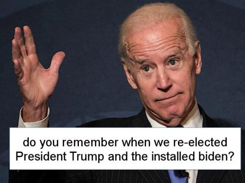 voterfraud361