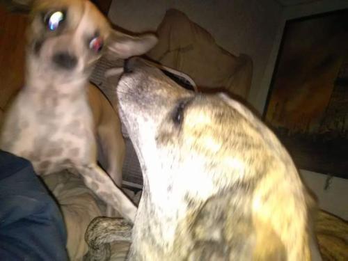 FB_IMG_1638402596384