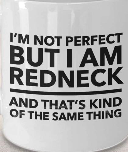 FB_IMG_1665113553721