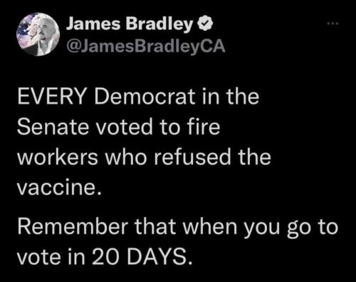 fbec214f0fe3b2a345d536bc91874f58_1024