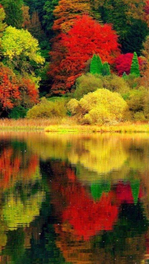 FB_IMG_1665614369255