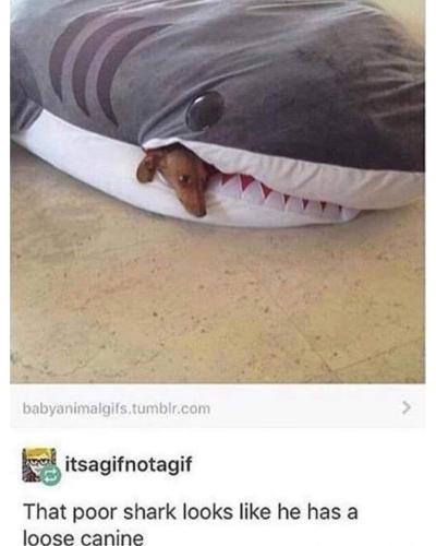 FB_IMG_1666364229753