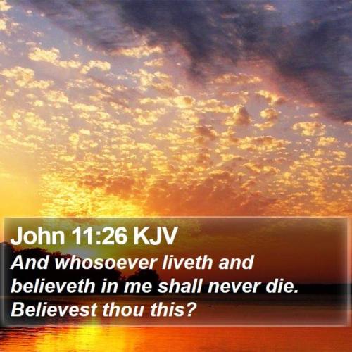 FB_IMG_1667047328167