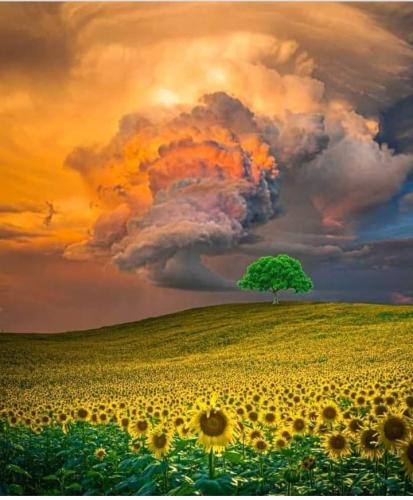 310694575_838872627114201_8796579066085629716_n