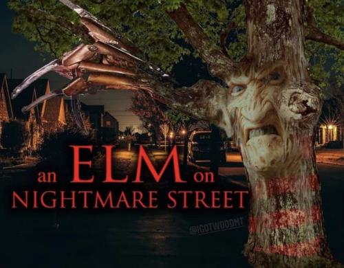 312982449_626385529193766_157010150064629137_n