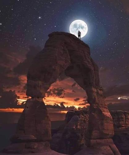 ,                                                                                                                                                                                                                          0 2