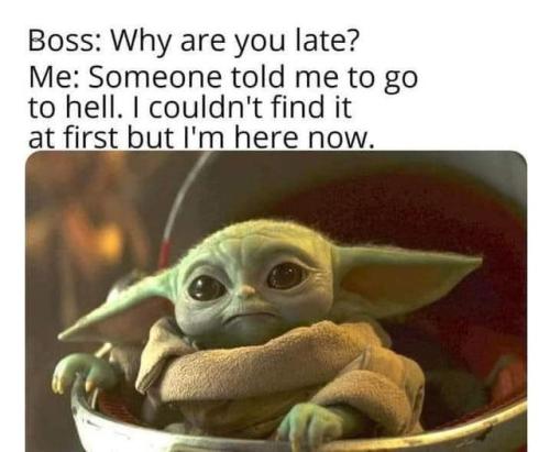 310276700_649531856786968_2218623973241142760_n (1)