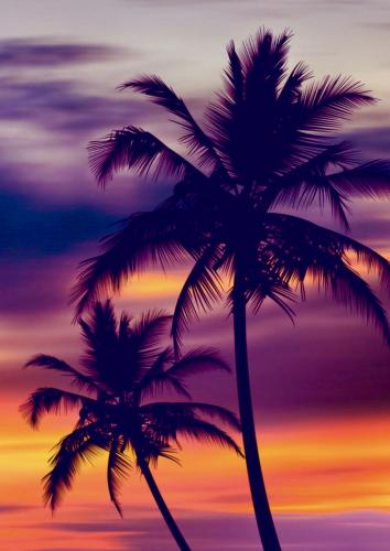 9CB3DF54-9856-4277-8F21-CABEDDC9D5EE