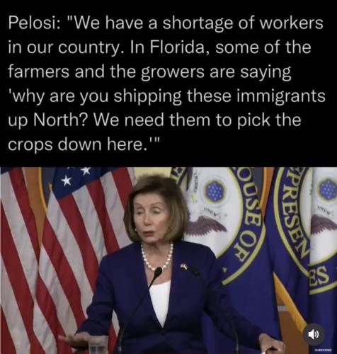 Illegals 1