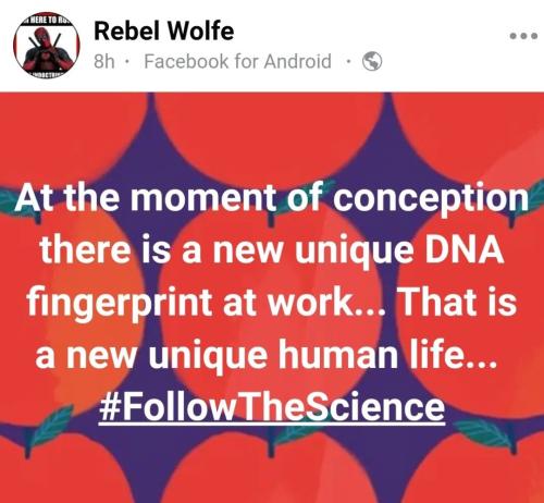 17:53:31 GMT-0400 (EDT)