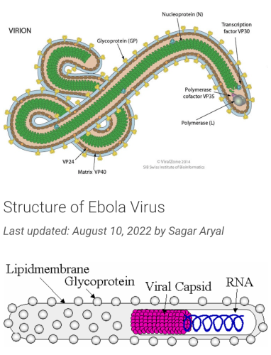 Screenshot_20221022-172335~2