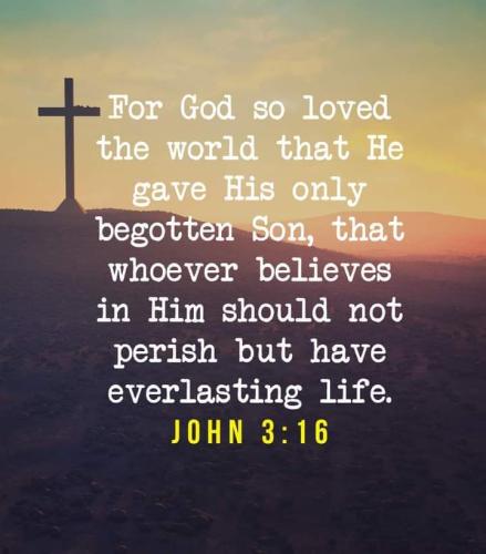 FB_IMG_1665675409713