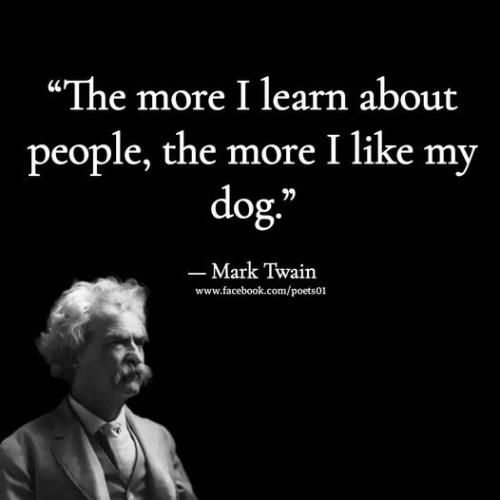 312555692_460238559507749_4831552792790984341_n