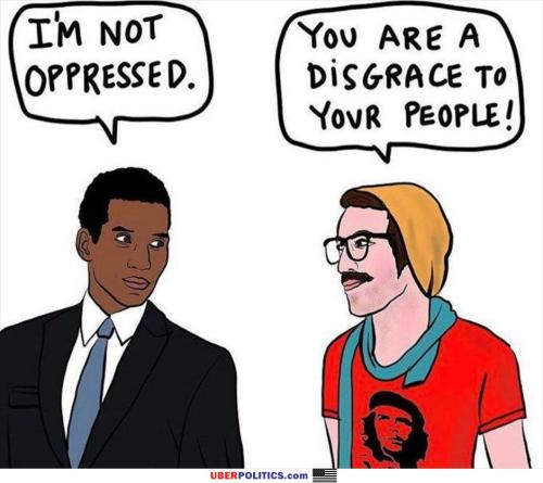 liberals-in-a-nutshell4820