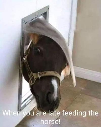 FB_IMG_1665081944917
