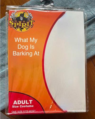 16:10:02 GMT-0400 (EDT)