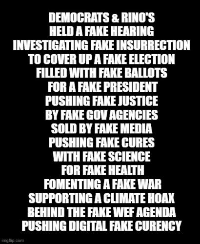 Fakestenians Agenda 101