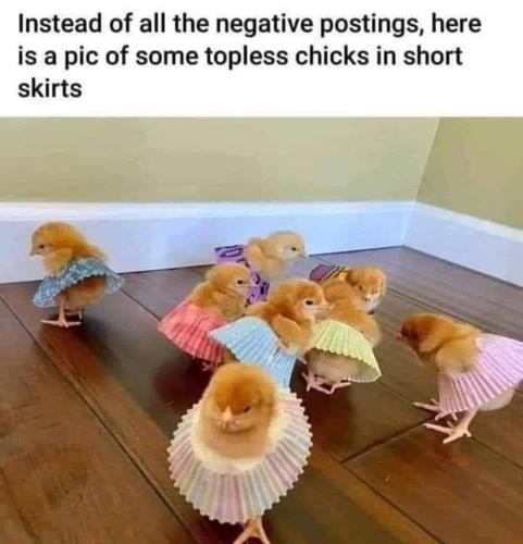 FB_IMG_1665511803986