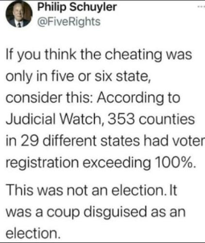 voterfraud369