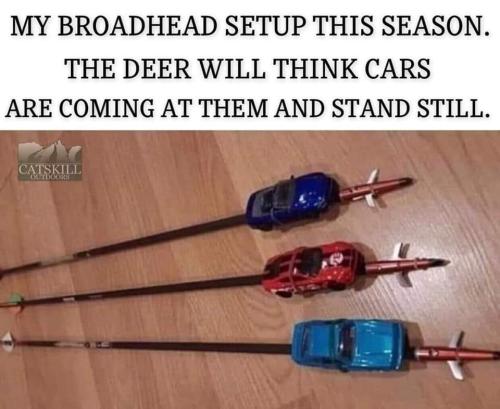 FB_IMG_1666156336564