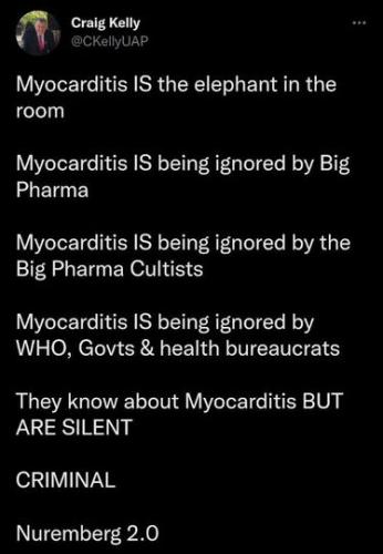 myocarditis00