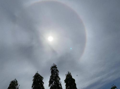 1ece34d5-0e8a-4067-b239-23dc3c0a23dd