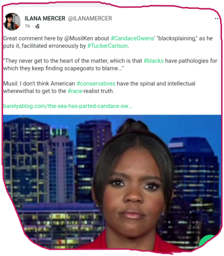 snapshot_gab.com_1666033864100