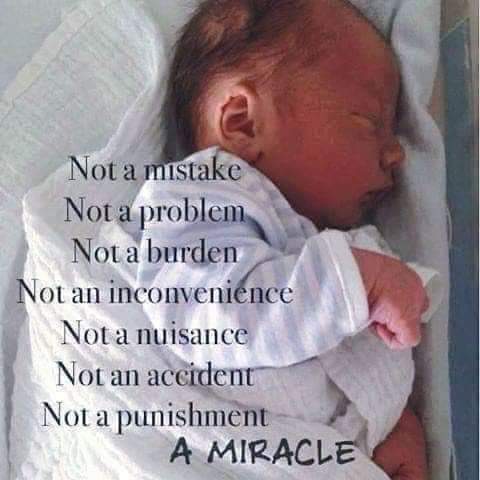 FB_IMG_1665530406401