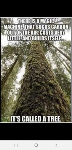 Screenshot_20220920-133612_Wimkin Free Speech Social Media