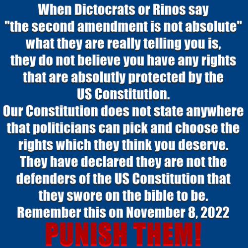 Dems Constitution 1