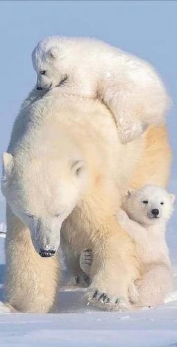 tumblr_27cfc014279f59982967573c867f3b28_2a6833bd_1280