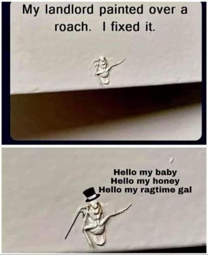 FB_IMG_1665867731371