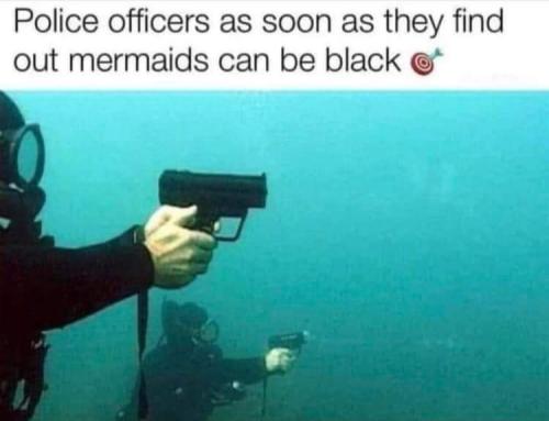 FB_IMG_1666382477878
