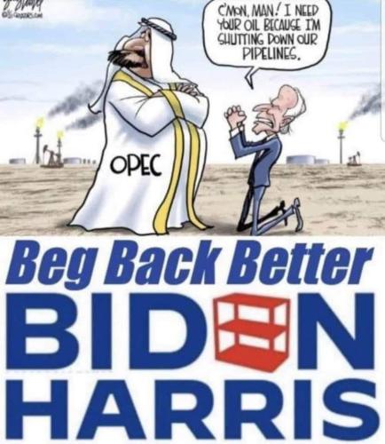 FB_IMG_1666152062946