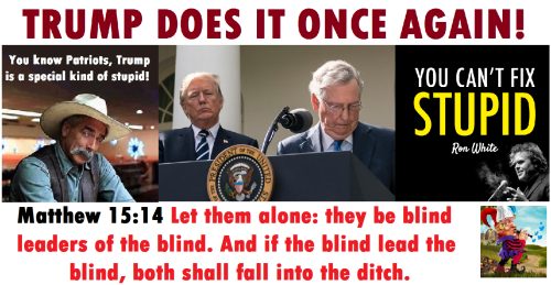 309403661_5494256673985903_2785164869782413963_n