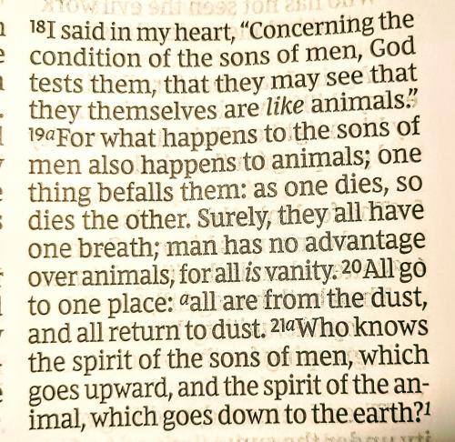 12:48:15 GMT-0400 (EDT)